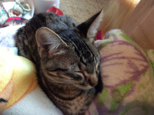 Meet your Posher, Rylee